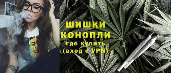 крисы Мегион