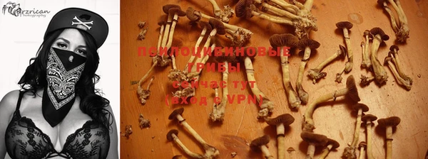 скорость Артём