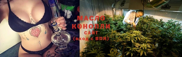 крисы Мегион